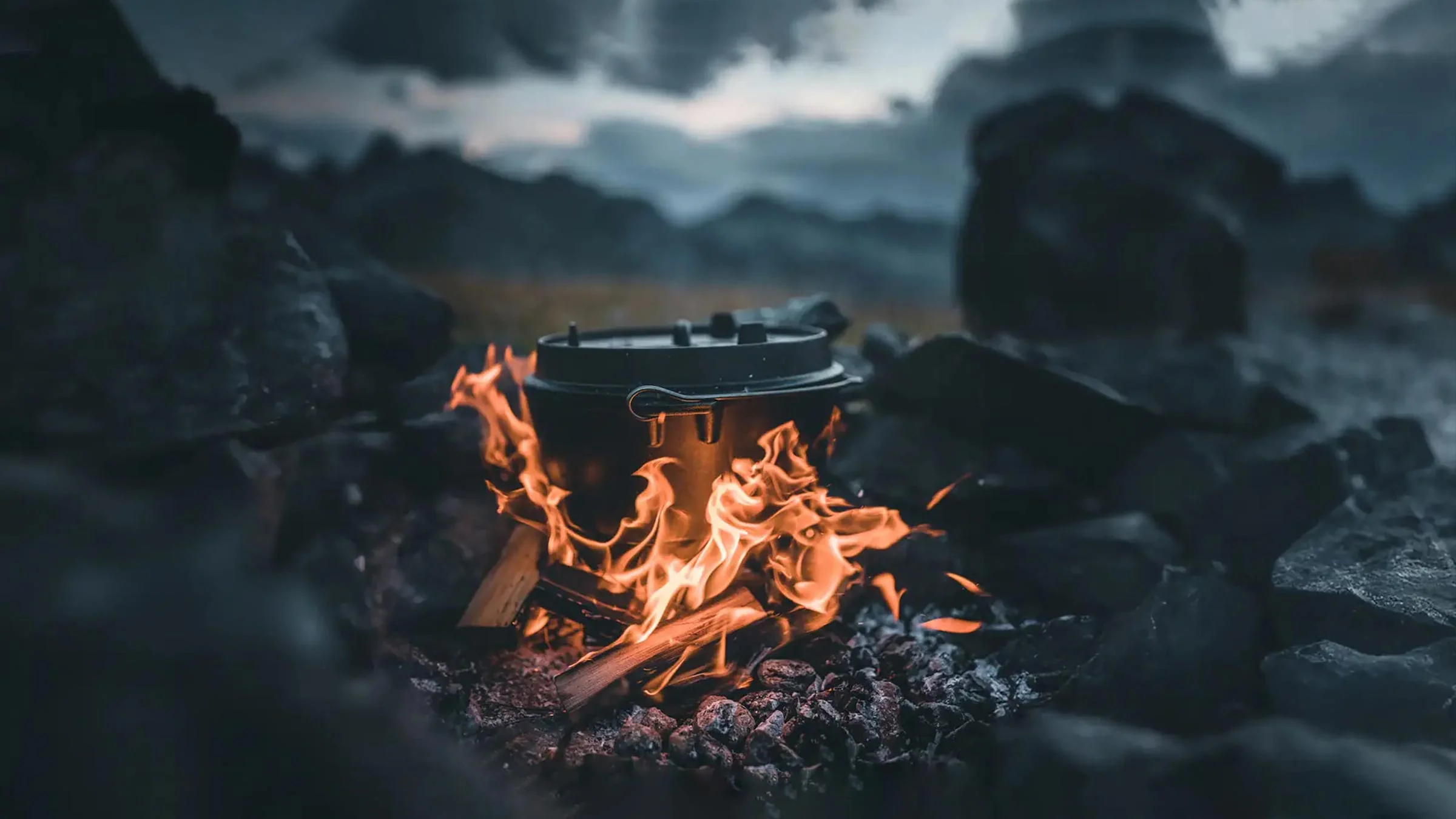 Master the Wild with Confidence